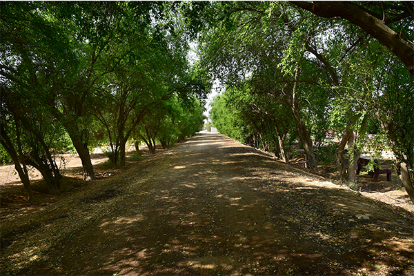 Agricultural Research Station